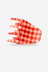 Sasstie Sasstie, Kit, maroon