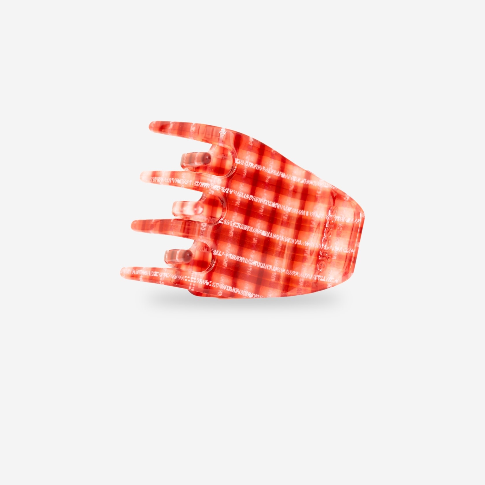 Sasstie Sasstie, Kit, maroon