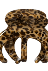 Sasstie Sasstie, Octie, caffè