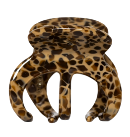 Sasstie Sasstie, Octie, caffè