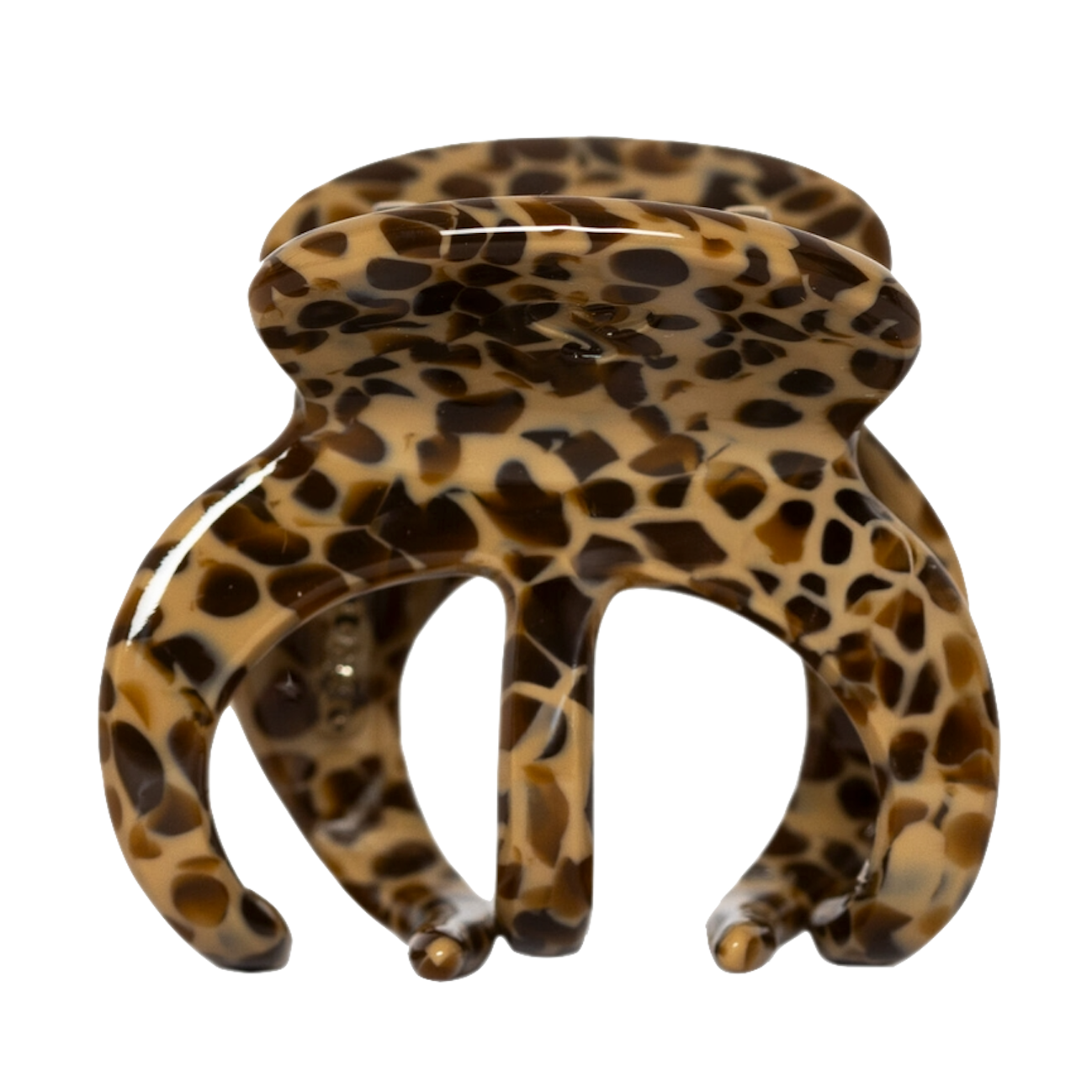 Sasstie Sasstie, Octie, caffè