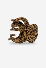 Sasstie Sasstie, Octie, caffè