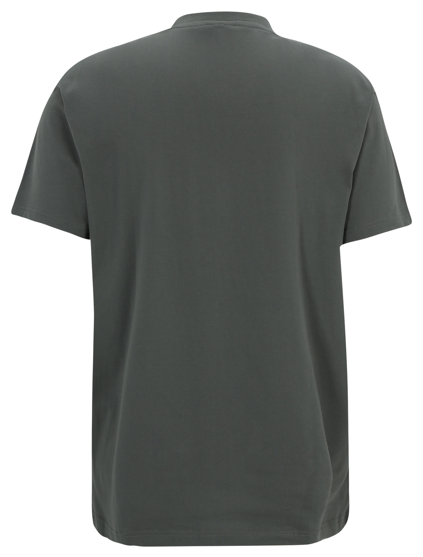 Iriedaily Iriedaily, Peaceride Emb Tee, dark jungle, L