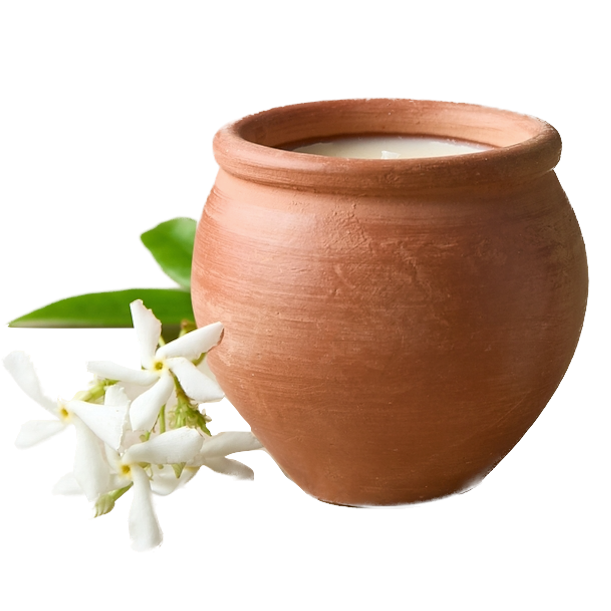 Dalit Goods Co Dalit Goods, Bienenwachskerze, deepti jasmine