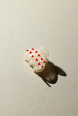 Sasstie Sasstie, Coope, obsession