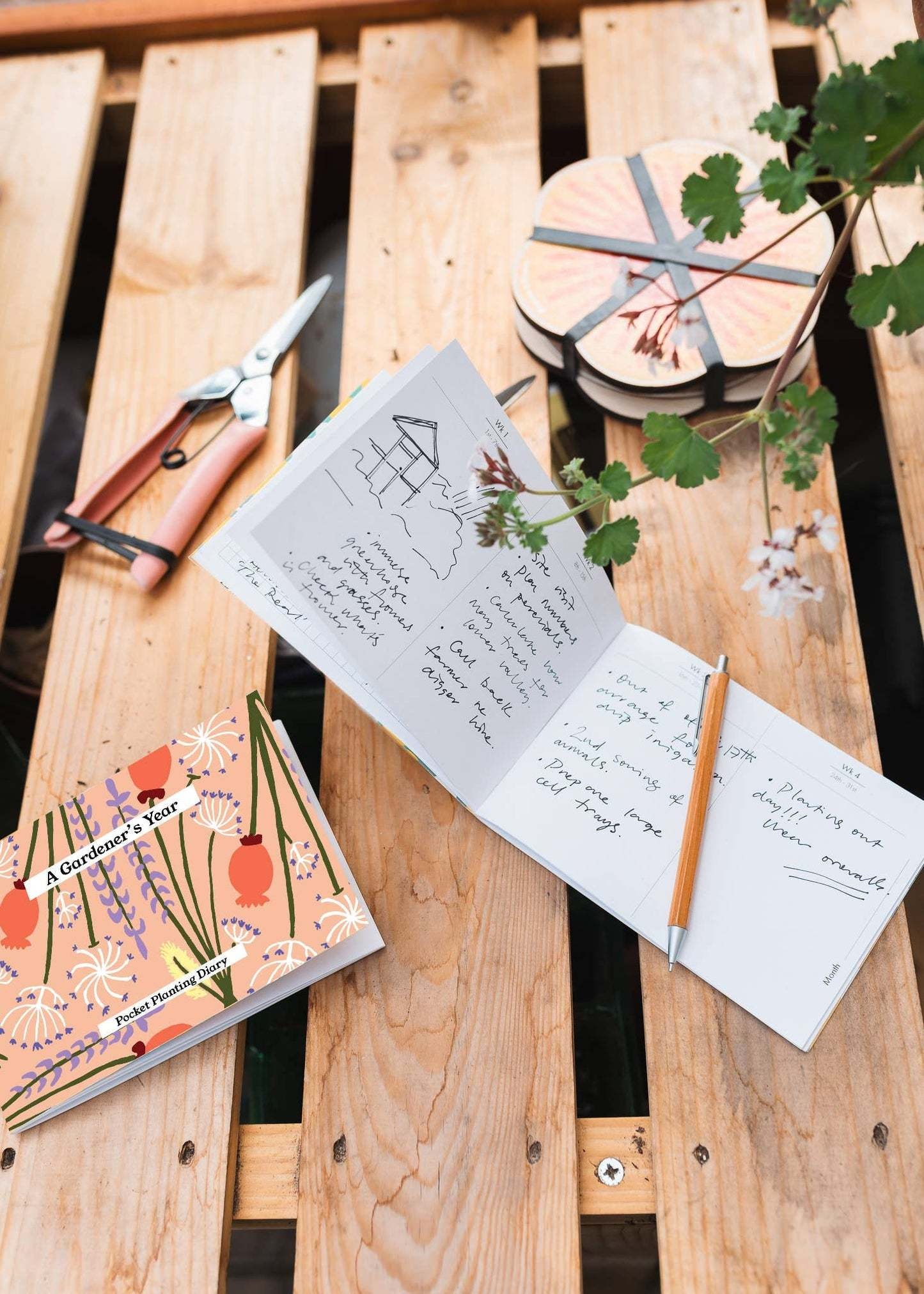 Studio Wald Studio Wald, Gardener's Diary, dried peach