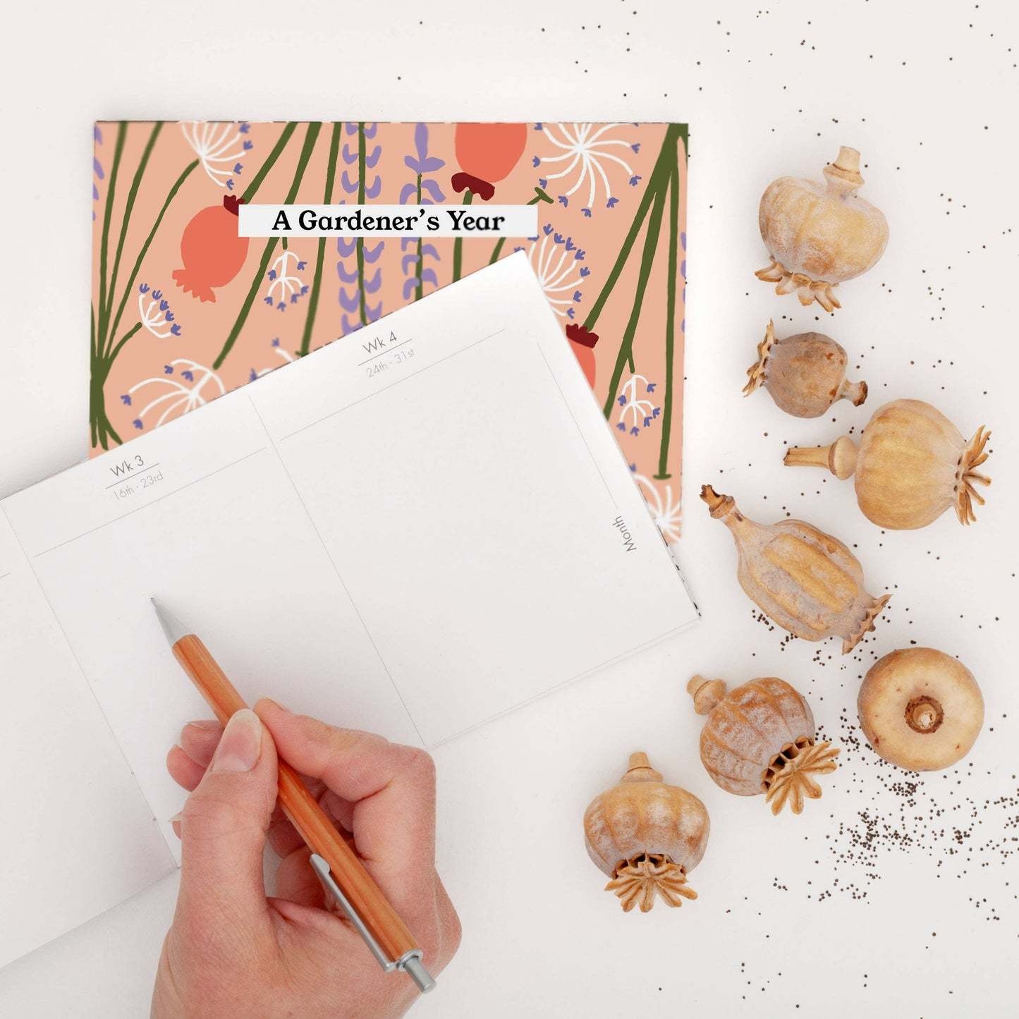 Studio Wald Studio Wald, Gardener's Diary, dried peach