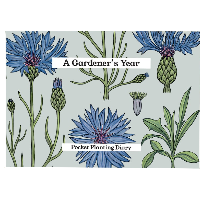 Studio Wald Studio Wald, Gardener's Diary, vintage cornflower