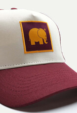 Trendsplant Trendsplant, Classic Trucker Cap, burgundy