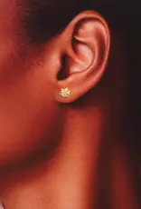 Attic Creations Attic Creations, I'd Pick You, dahlia gold