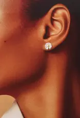 Attic Creations Attic Creations, Bloom Wildly, daisy