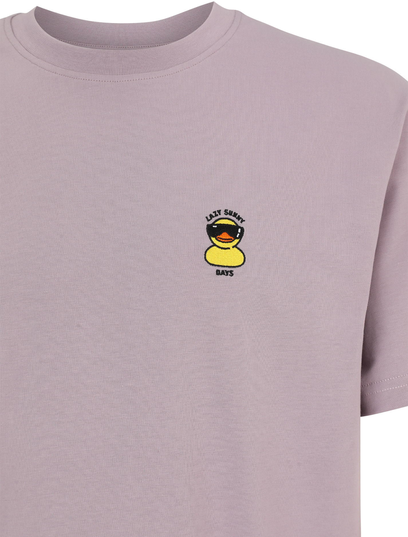 Iriedaily Iriedaily, Lazy Sunny Day Emb Tee, mauve, S