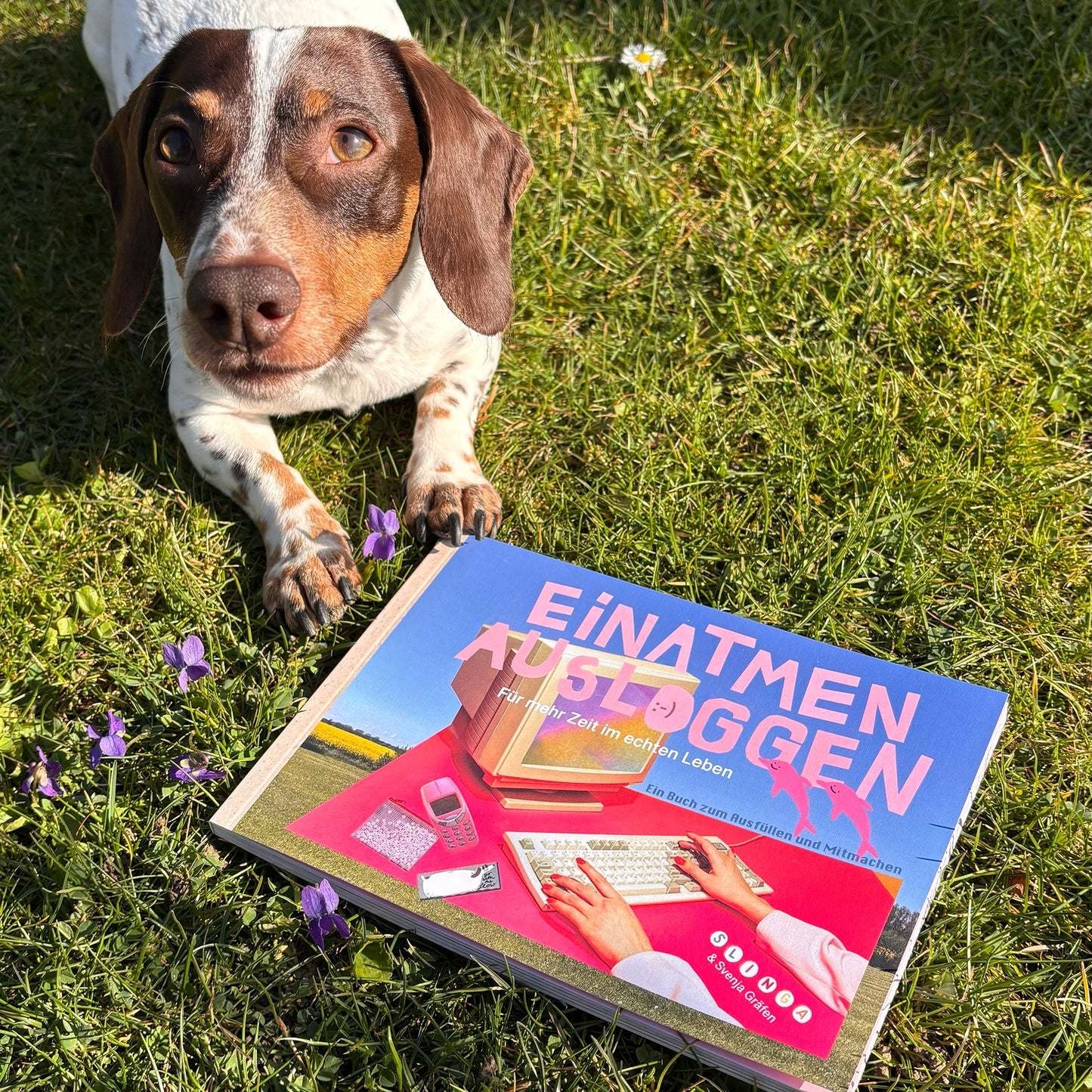 Slinga Slinga & Svenja Gräfen, Buch, Einatmen Ausloggen