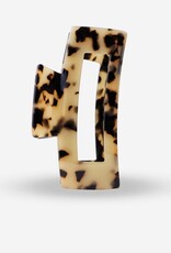Sasstie Sasstie, Big Crush, cheetah