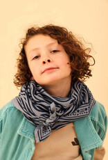 Maison Augustin, Adult Zebra Scarf, indigo