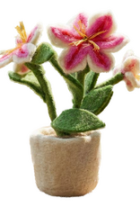 Felt So Good Felt So Good, Filzpflanze, lily