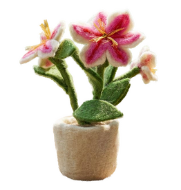 Felt So Good Felt So Good, Filzpflanze, lily
