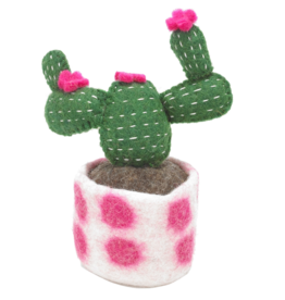 Felt So Good Felt So Good, Filzpflanze, opuntia