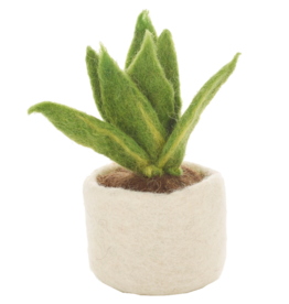 Felt So Good Felt So Good, Filzpflanze, sansevieria