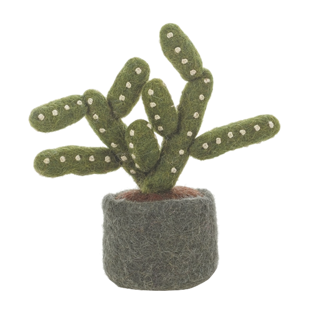 Felt So Good Felt So Good, Filzpflanze, pencil cactus