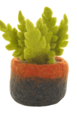Felt So Good Felt So Good, Filzpflanze, ostrich fern