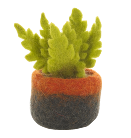 Felt So Good Felt So Good, Filzpflanze, ostrich fern