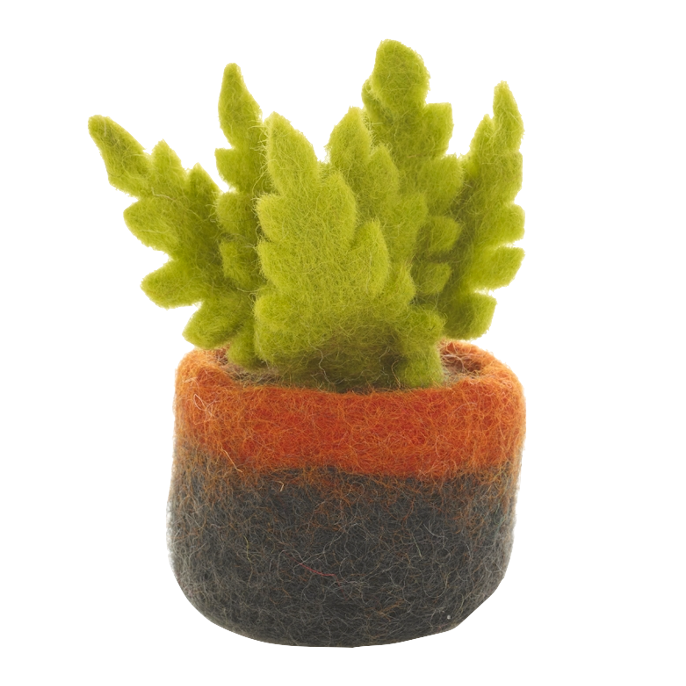 Felt So Good Felt So Good, Filzpflanze, ostrich fern