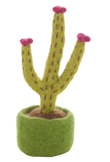 Felt So Good Felt So Good, Filzpflanze, blossoming hedgehog cactus