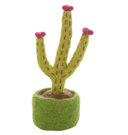 Felt So Good Felt So Good, Filzpflanze, blossoming hedgehog cactus