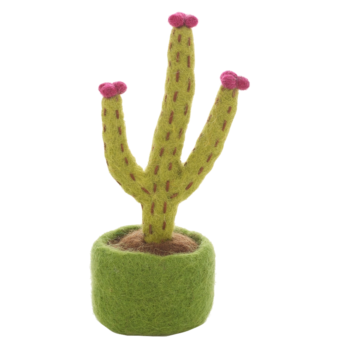 Felt So Good Felt So Good, Filzpflanze, blossoming hedgehog cactus
