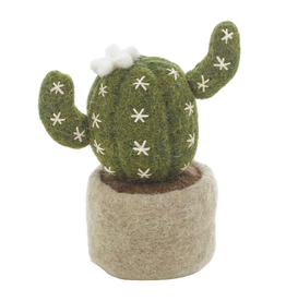 Felt So Good Felt So Good, Filzpflanze, barrel cactus