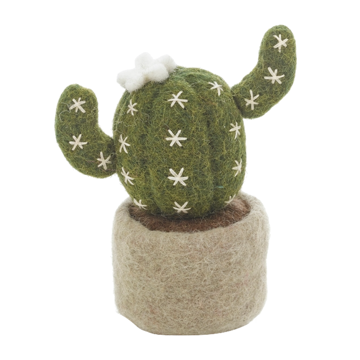 Felt So Good Felt So Good, Filzpflanze, barrel cactus
