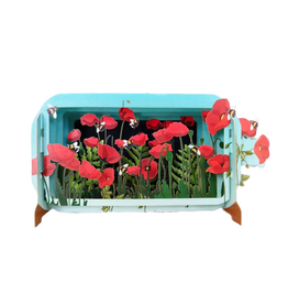 Alljoy Alljoy, Message in a Bottle, poppy flowers