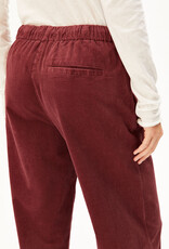 Armedangels Armedangels, Jaimilaa Corduroy, velvet ember, XS