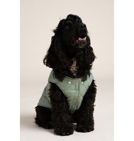 Flotte VINCENNES - Dog Rain Coat