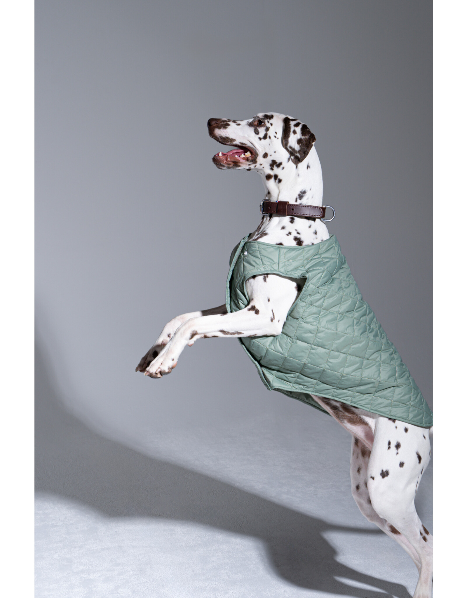 Flotte VINCENNES - Dog Rain Coat