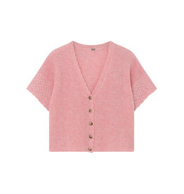 Gustav Denmark Coya Cardi