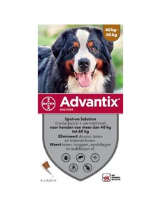Advantix Hond 600 - 6 x 6,0ml