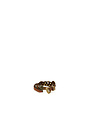 Campomaggi Bracelet H1.6. Leather + Studs. P/D Cognac.