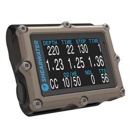 Shearwater Shearwater Petrel 2