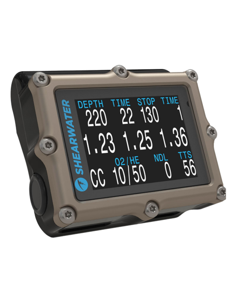 Shearwater Shearwater Petrel 2