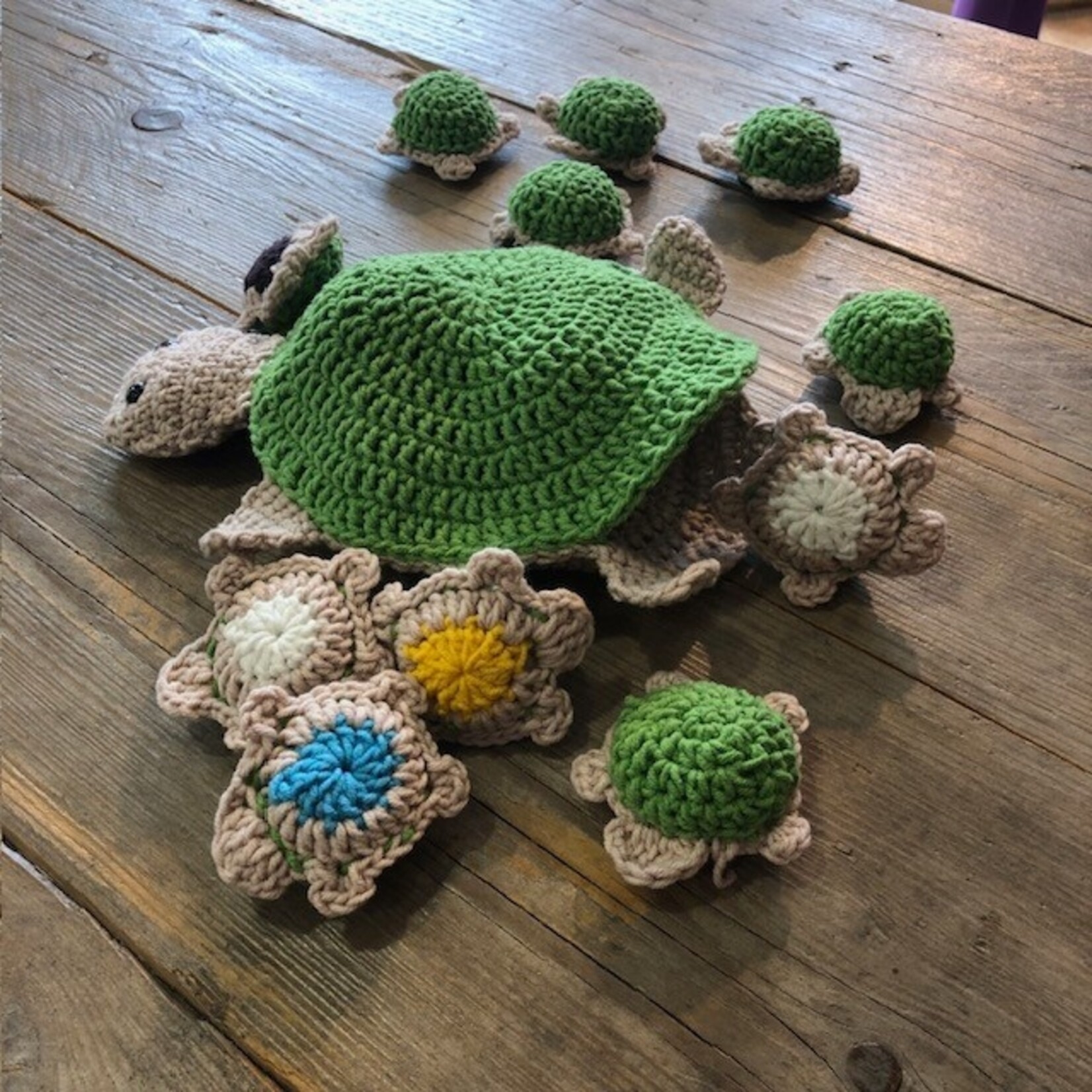 Haakpakket Turtle Memory