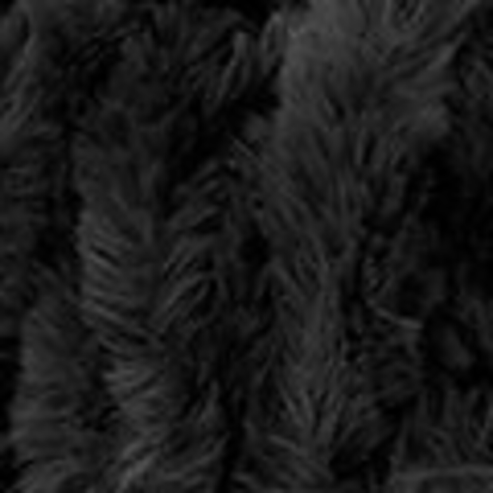 Katia Polar Extreme
