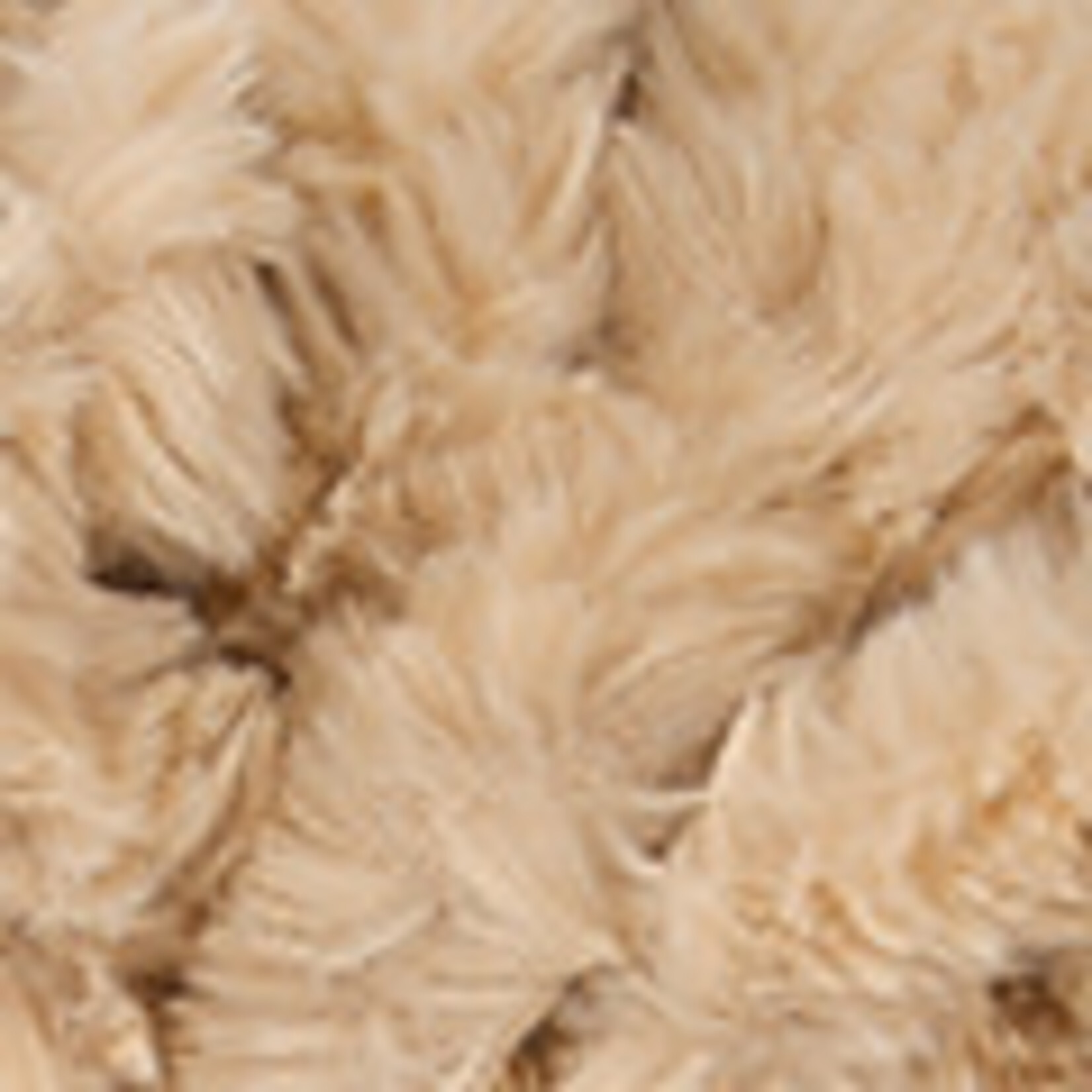 Katia Polar Extreme