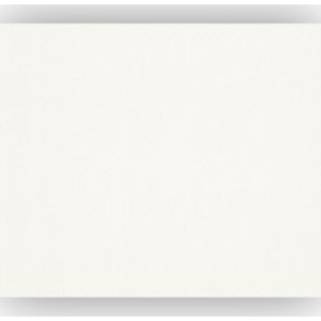 Rasch Profivlies - Renovlies 116601 50 x 1 meter 150 gram