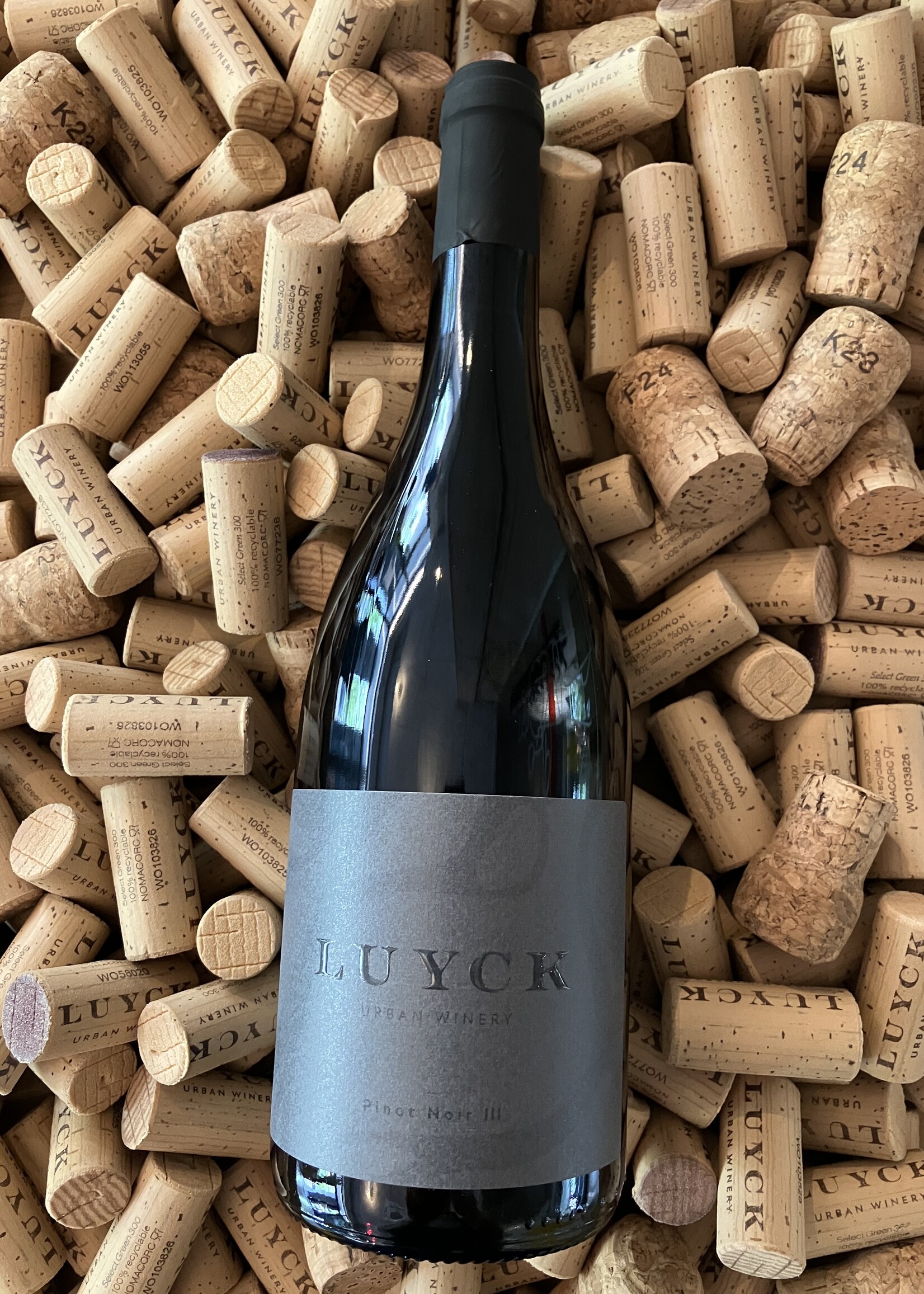 Pinot Noir III - 75cl