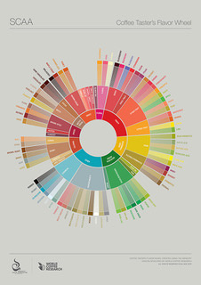 Flavor Wheel Coffee La Jeu Coffee Den Bosch