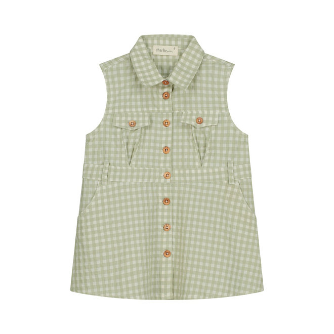 Emanuella Dress Green Check