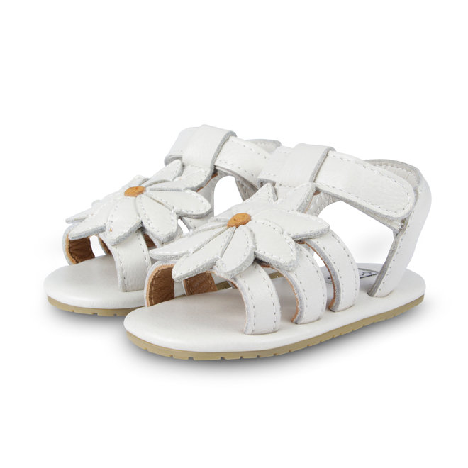 Tuti Fields - Daisy Off White