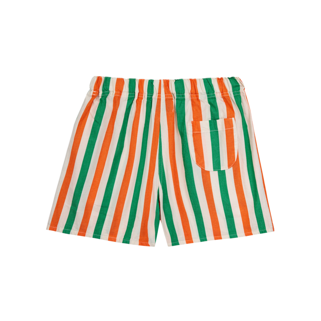 Vertical Stripes Woven Shorts - Multicolor